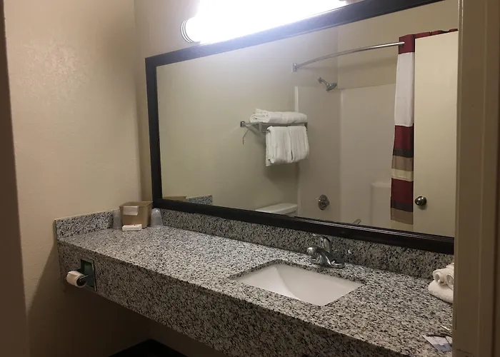 Red Roof Worth - Saginaw Motel 2*