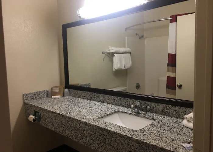Red Roof Worth - Saginaw Motel 2*